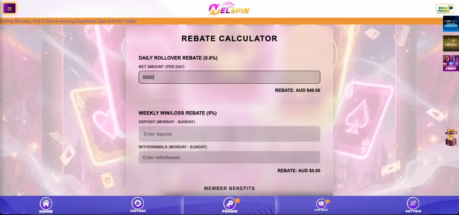 Nelspin bonuses page showing daily credits and slot offers